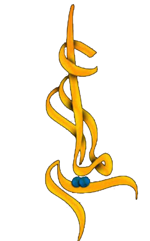 متوسط دوره اول عمار شعبه دخترانه